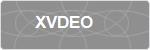 XVDEO