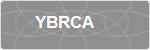 YBRCA