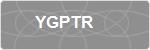 YGPTR