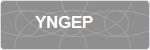 YNGEP