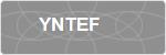 YNTEF