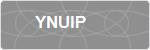 YNUIP