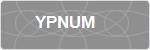 YPNUM