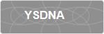 YSDNA
