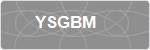 YSGBM