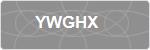 YWGHX