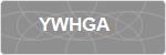YWHGA