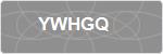 YWHGQ