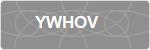 YWHOV