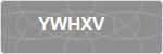 YWHXV