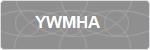 YWMHA