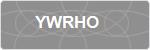 YWRHO