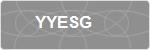 YYESG