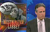 daily-show-dog-show.jpg