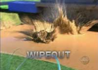 wipeout.jpg