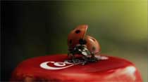 sb-ad-coke-ladybug.jpg