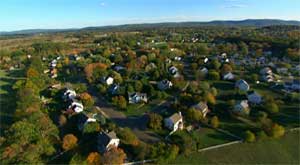 lyme-trees-suburbia.jpg