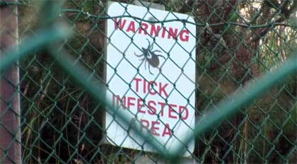 lyme-warning-tick-sign-TOP.jpg