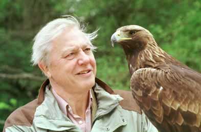 Attenborough-photo.jpg