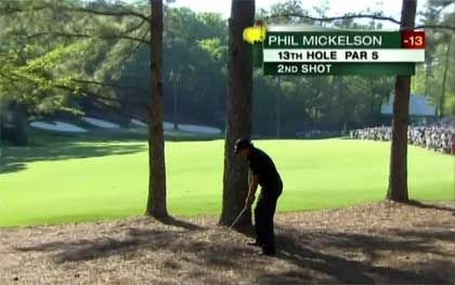 masters-tree-shot.jpg