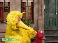 big-bird-elmo.jpg