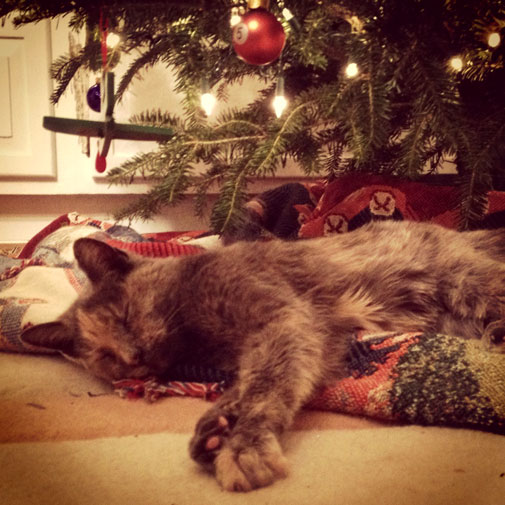 Bane Christmas asleep 2011.jpg