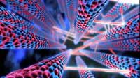 WORMHOLE-Microtubials-3.jpg