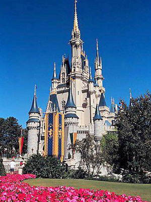 walt-disney-world-castle.jpg