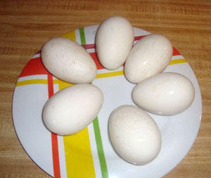 Goose-Eggs.jpg