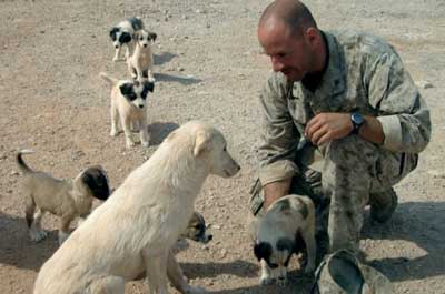 No-Dog-Left-Behind-film-Iraq.jpg