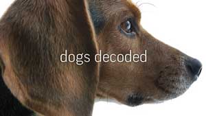 dogs-decoded-nova-pbs.jpg