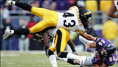 steelers-troy-polamalu.jpg