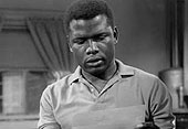 Raisin in the Sun