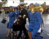 Catch Me If You Can