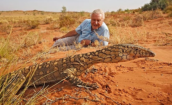 david attenborough bbc dvd.jpg