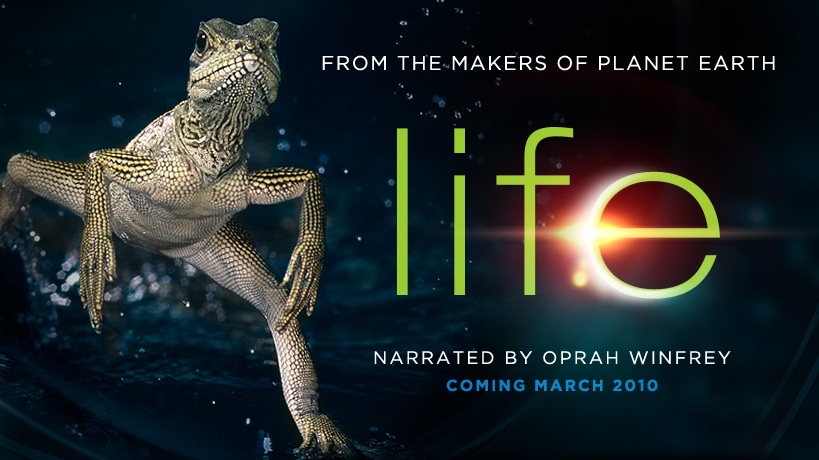 life discovery channel oprah.jpg